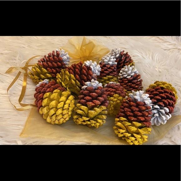Set of 10 Magickal Pine Cones! Intuitively Naturally Chosen Hand Painted Pieces - Picture 3 of 3